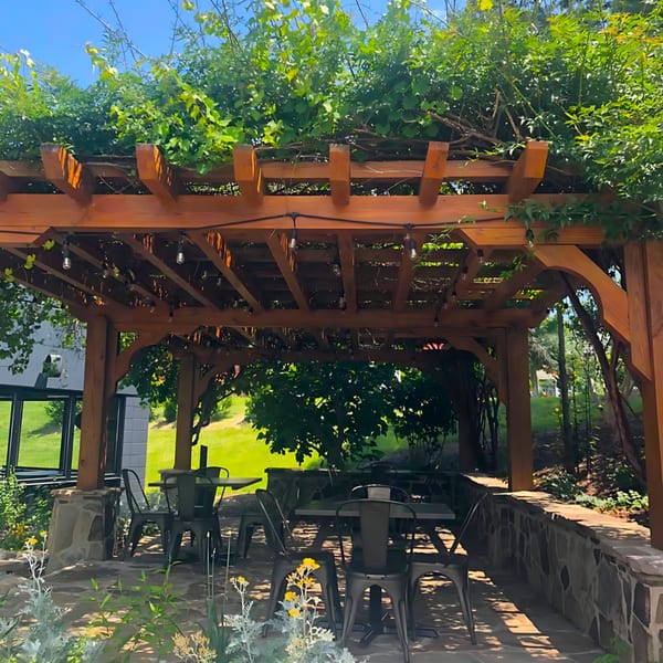 Outdoor dining area at Fusion Nine with a wooden pergola covered in lush green vines and string lights.